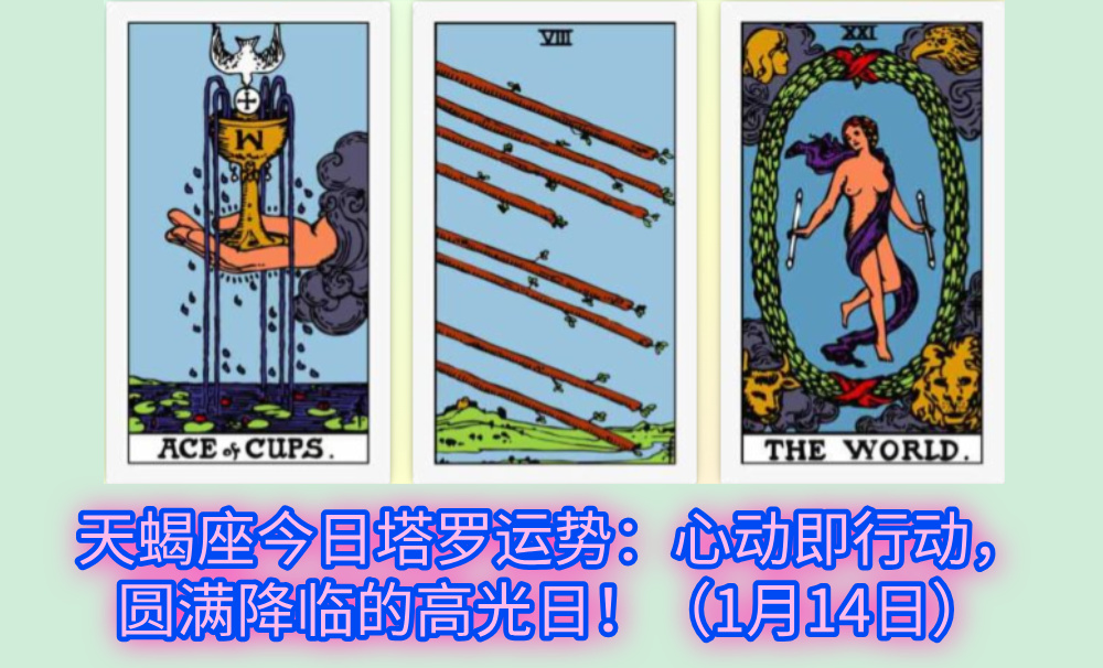 天蝎座今日塔罗运势：心动即行动，圆满降临的高光日！（1月14日）