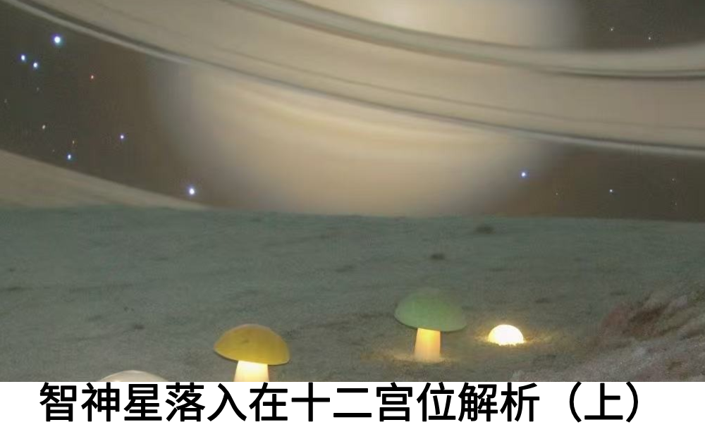智神星落入在十二宫位解析（上）
