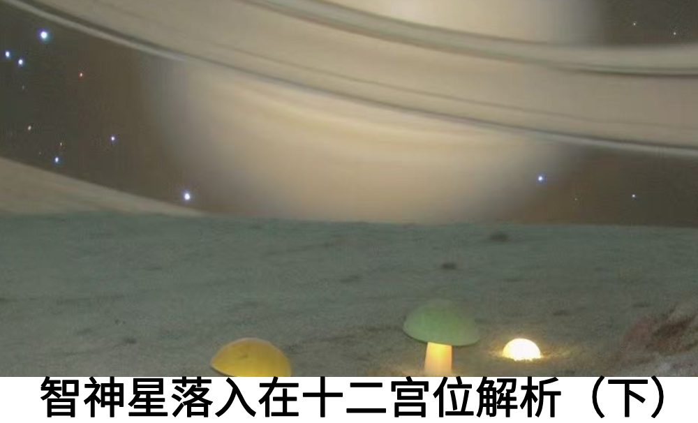 智神星落入在十二宫位解析（下）