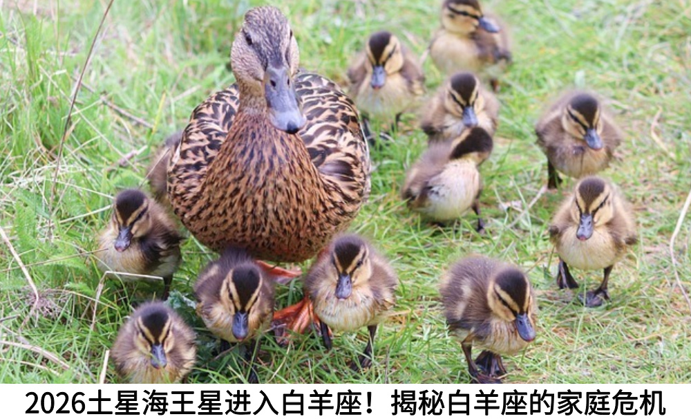 谁是天生旅者？什么星盘配置天生爱旅游