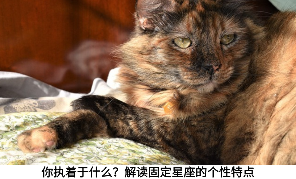 你执着于什么？解读固定星座的个性特点