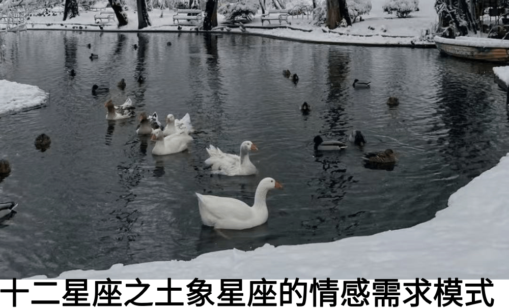 十二星座之土象星座的情感需求模式