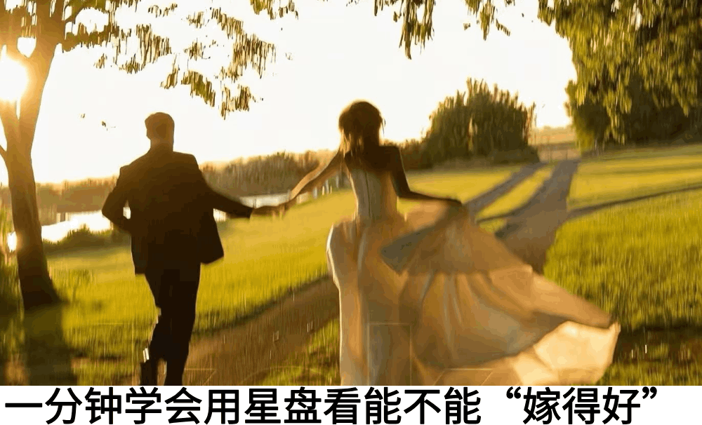 一分钟学会用星盘看能不能&ldquo;嫁得好&rdquo;