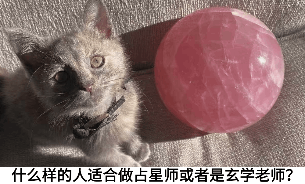 什么样的人适合做占星师或者是玄学老师？