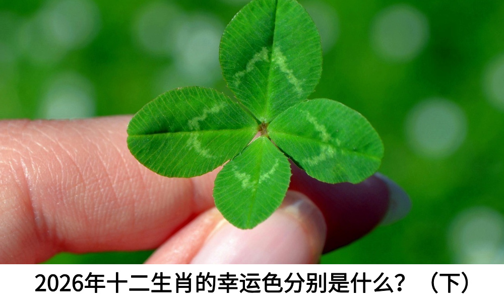 2026年十二生肖的幸运色分别是什么？（下）