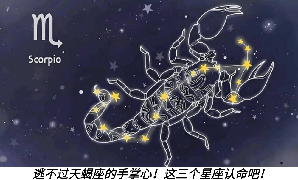 逃不过天蝎座的手掌心！这三个星座认命吧！