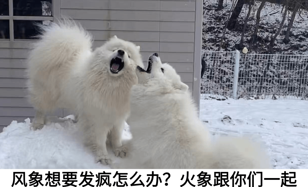 风象想要发疯怎么办？火象跟你们一起