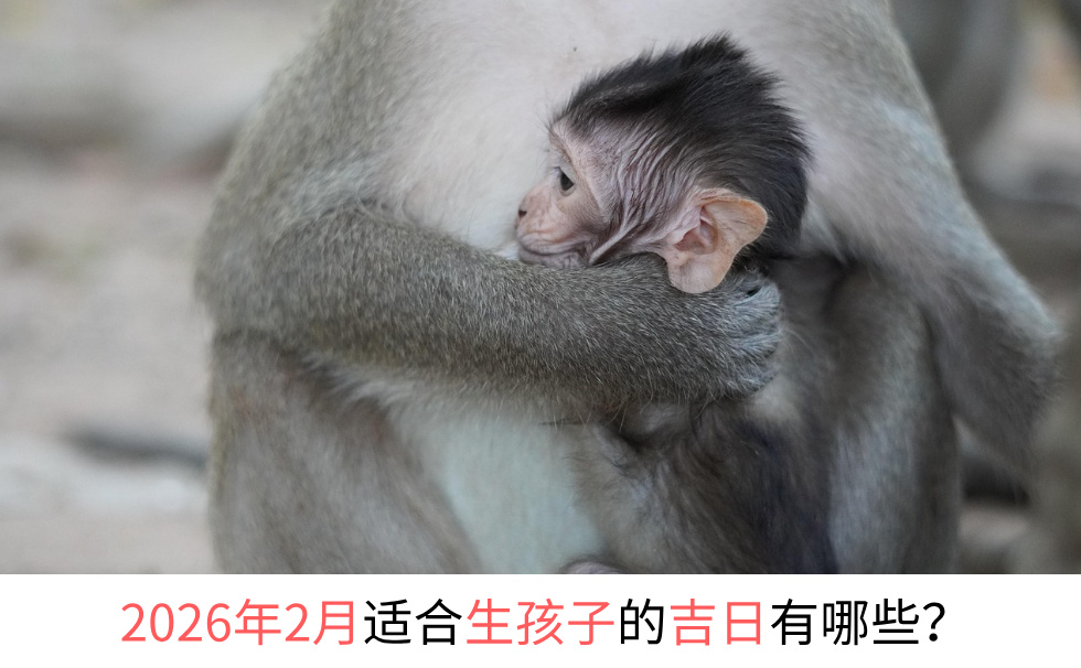 2026年2月适合生孩子的吉日有哪些？
