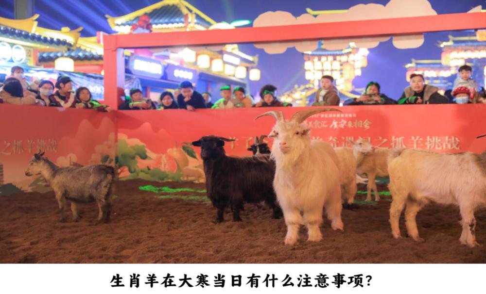 生肖羊在大寒当日有什么注意事项？