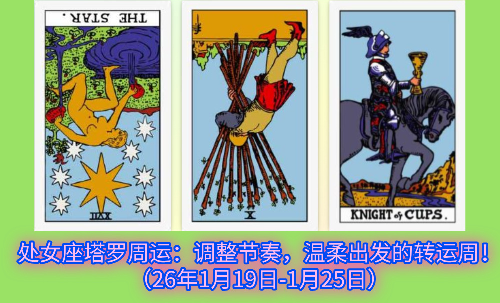 处女座塔罗周运：调整节奏，温柔出发的转运周！（26年1月19日-1月25日）