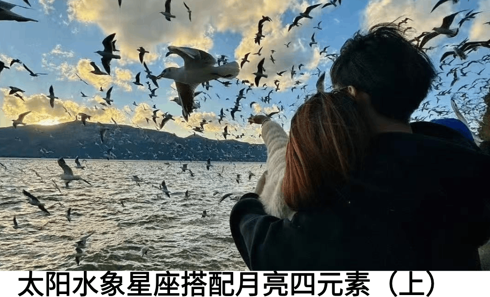 太阳水象星座搭配月亮四元素（上）