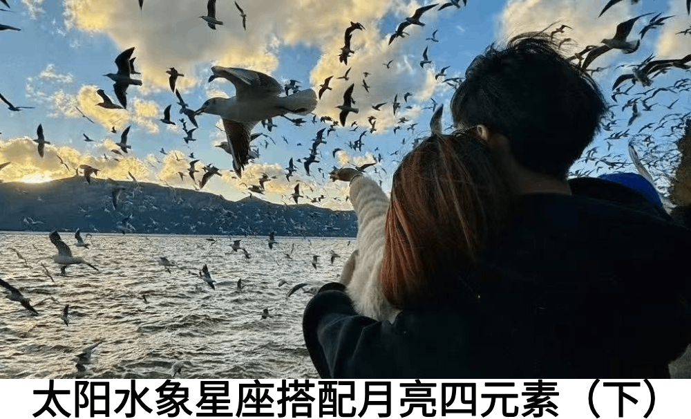 太阳水象星座搭配月亮四元素（下）