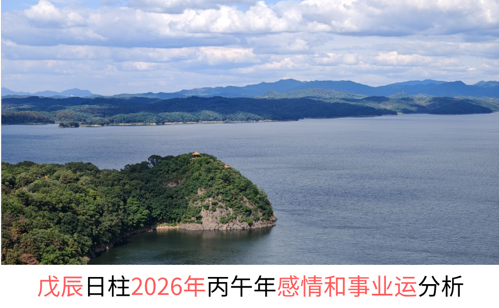 戊辰日柱2026年丙午年感情和事业财运分析