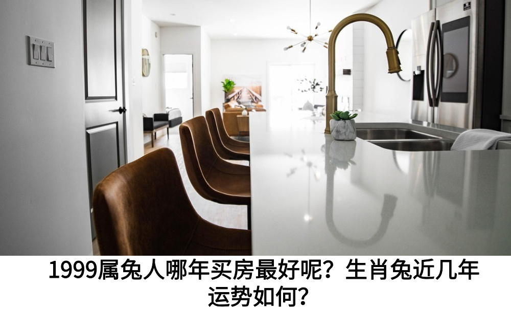 1999己卯年属兔人哪年买房最好呢？生肖兔近几年运势如何？