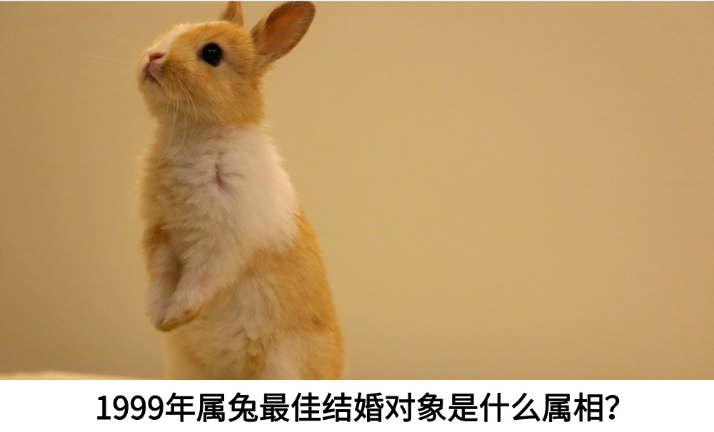 1999己卯年属兔最佳结婚对象是什么属相？