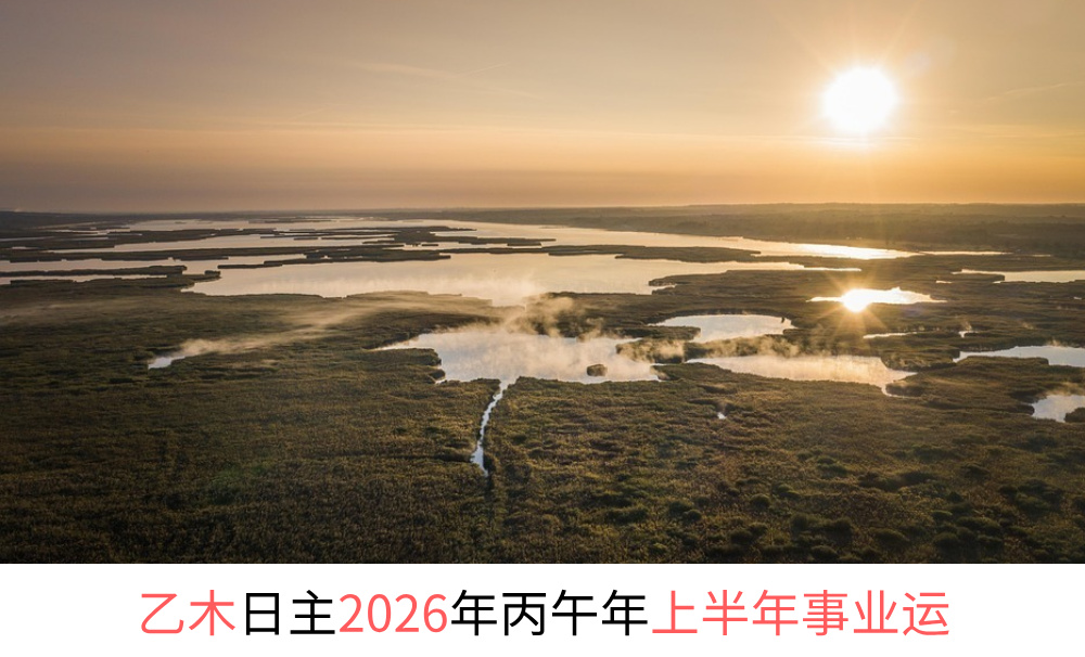 乙木日主2026年丙午年上半年事业运
