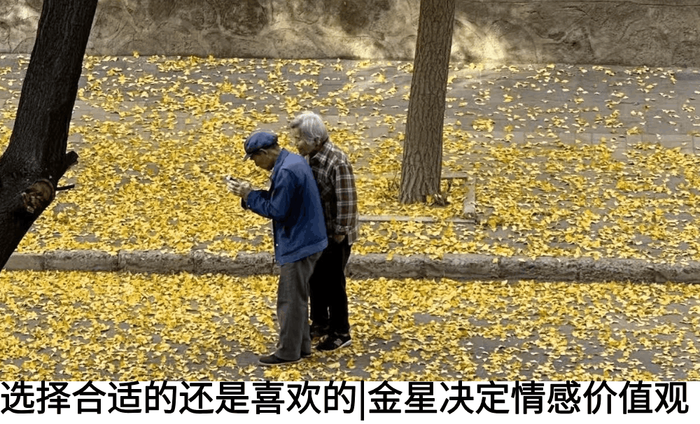 选择合适的还是喜欢的|金星决定情感价值观