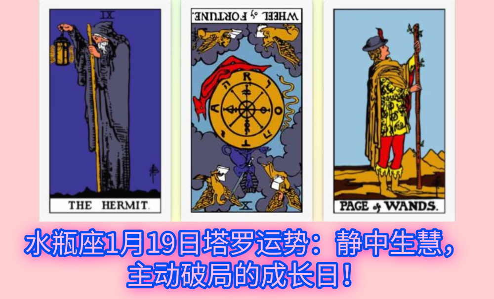 水瓶座1月19日塔罗运势：静中生慧，主动破局的成长日！