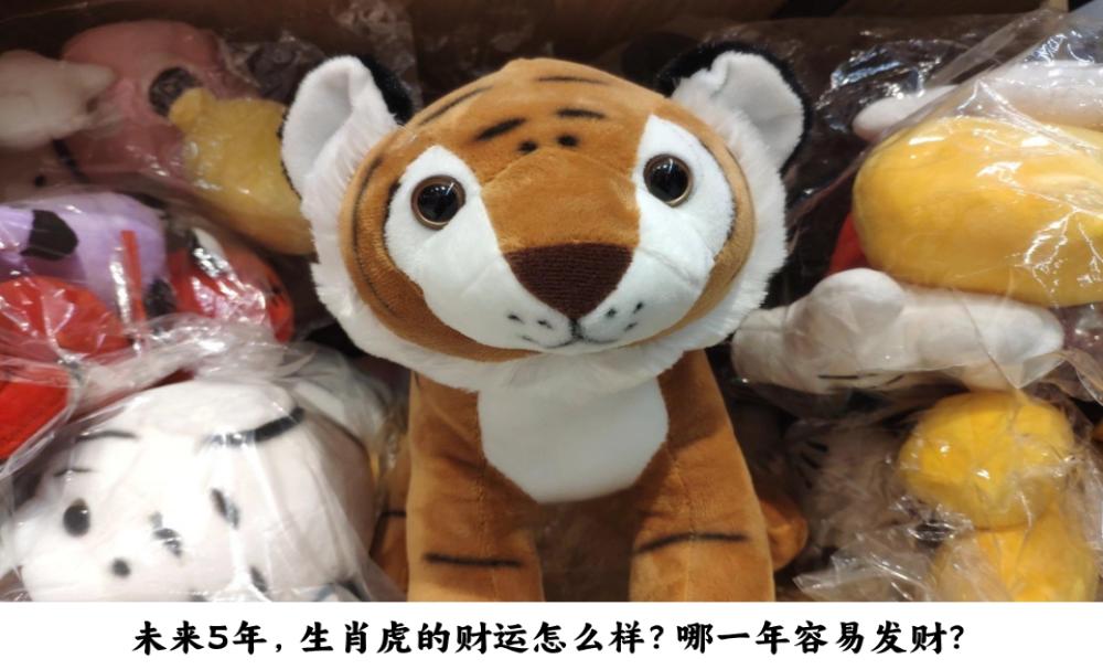 未来5年，生肖虎的财运怎么样？哪一年容易发财？