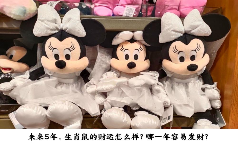 未来5年,生肖鼠的财运怎么样?哪一年容易发财?