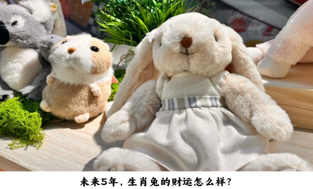 未来5年，生肖兔的财运怎么样？