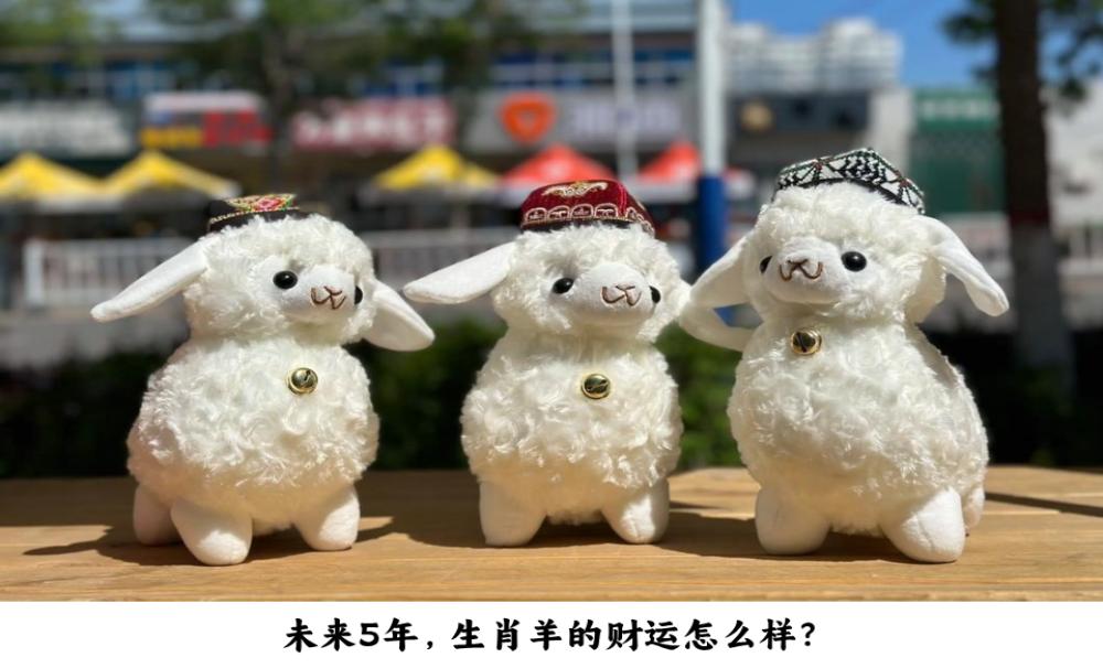 未来5年，生肖羊的财运怎么样？