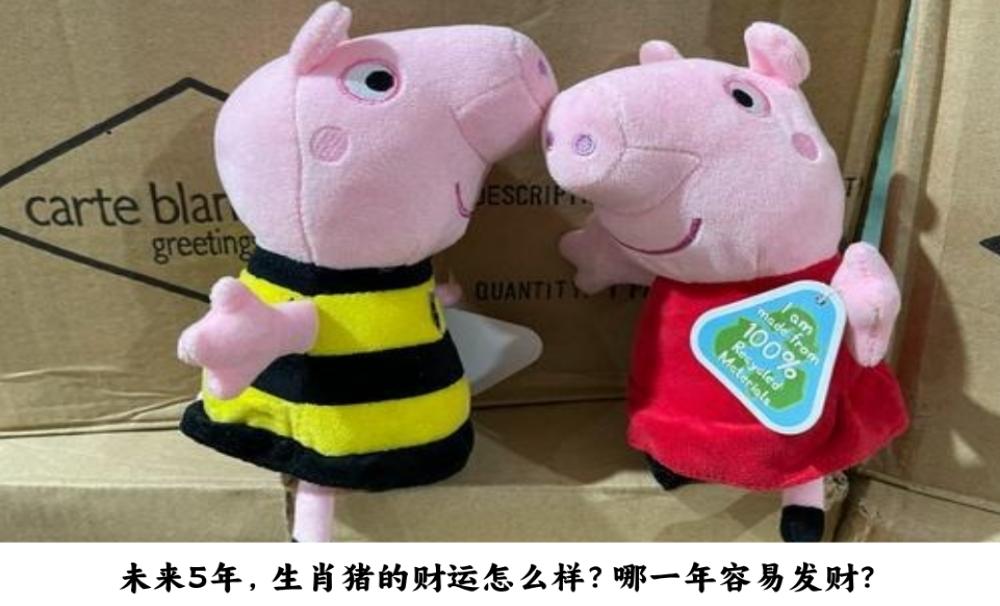 未来5年，生肖猪的财运怎么样？哪一年容易发财？