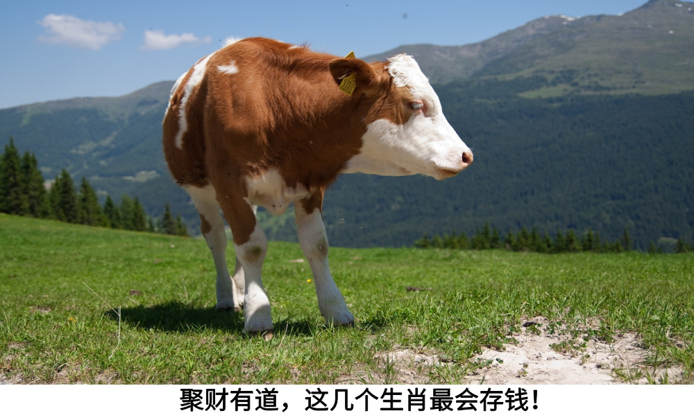 聚财有道，这几个生肖最会存钱！