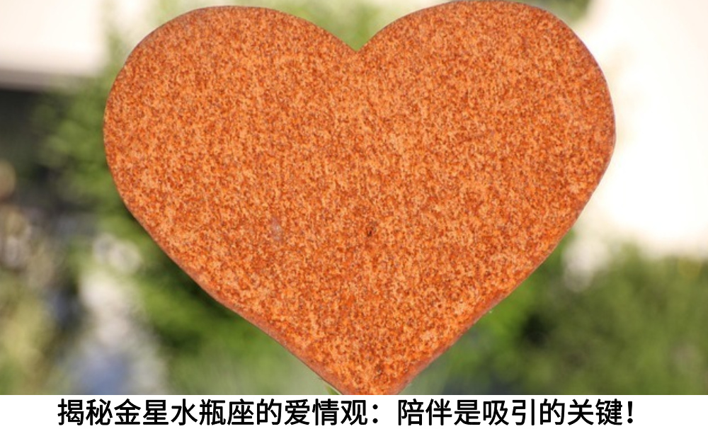 揭秘金星水瓶座的爱情观：陪伴是吸引的关键！