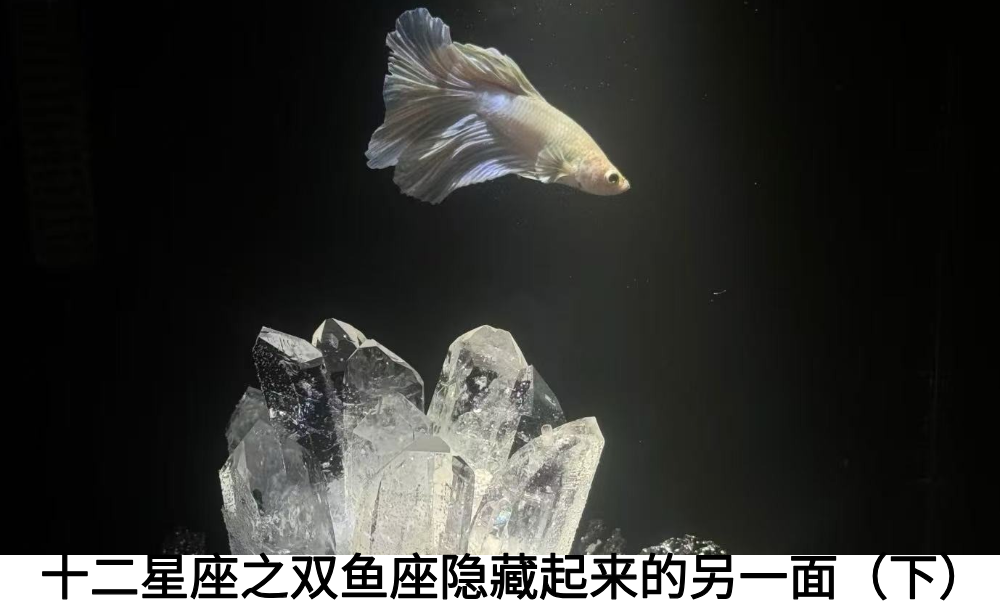 双鱼座的顶级反差|你不知道的另一面（下）