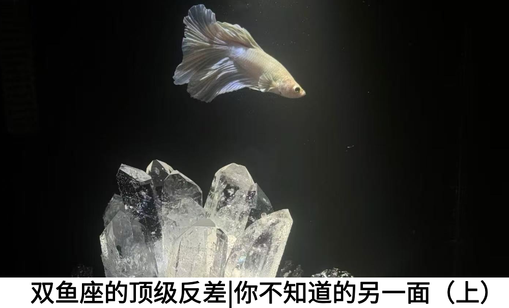 双鱼座的顶级反差|你不知道的另一面（上）