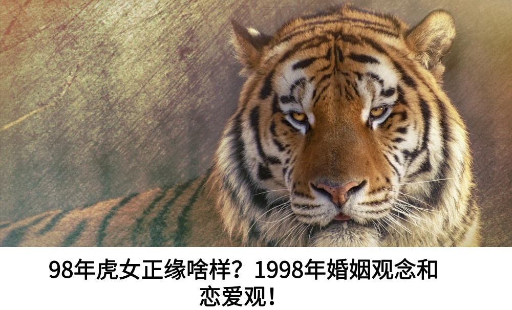 98年虎女正缘啥样？1998年婚姻观念和恋爱观！