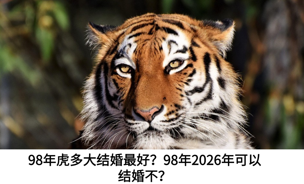 98年虎什么时候结婚最好？98年2026年可以结婚不？