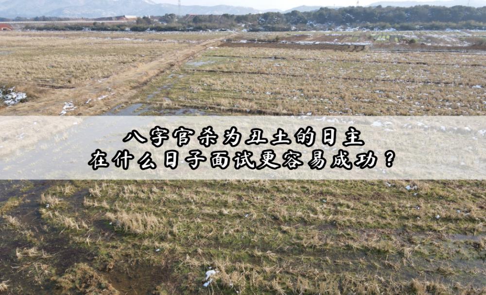 八字官杀为丑土的日主，在什么日子面试更容易成功？