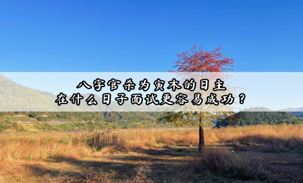 八字官杀为寅木的日主，在什么日子面试更容易成功？