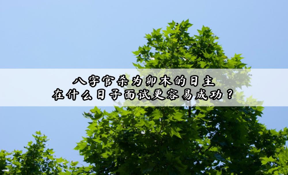 八字官杀为卯木的日主，在什么日子面试更容易成功？