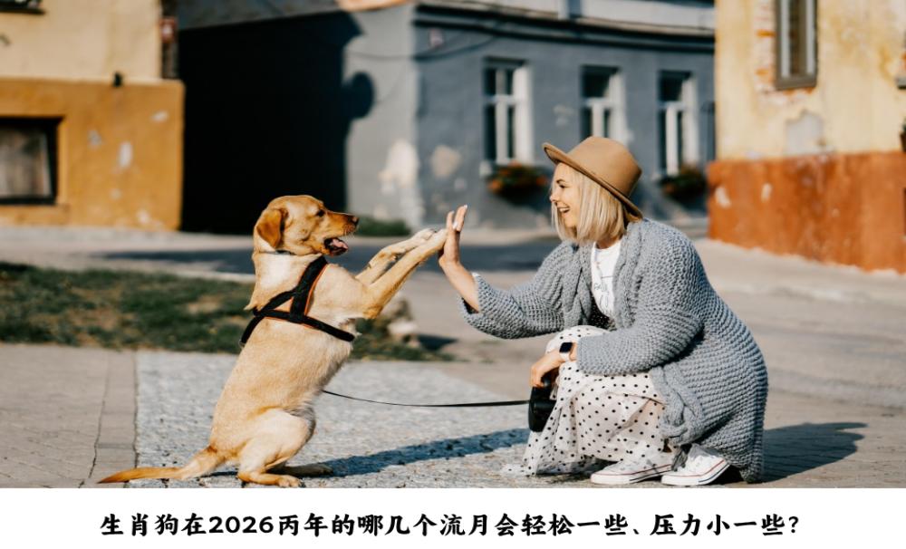 生肖狗在2026丙午年的哪几个流月会轻松一些、压力小一些？