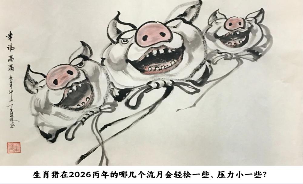 生肖猪在2026丙午年的哪几个流月会轻松一些、压力小一些？