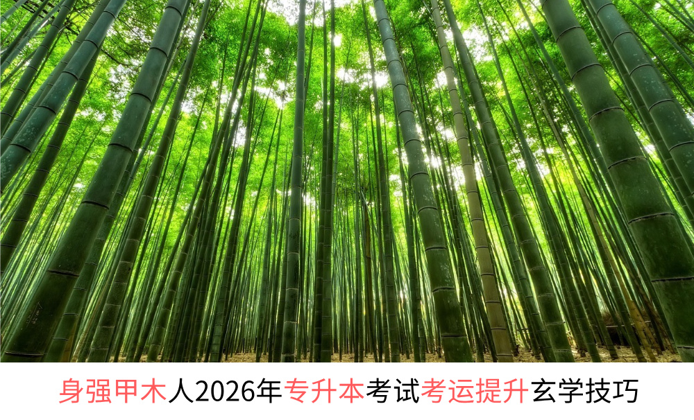 身强甲木人2026年专升本考试考运提升玄学技巧