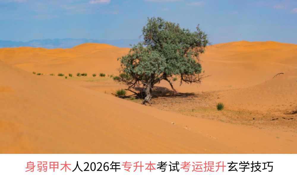 身弱甲木人2026年专升本考试考运提升玄学技巧