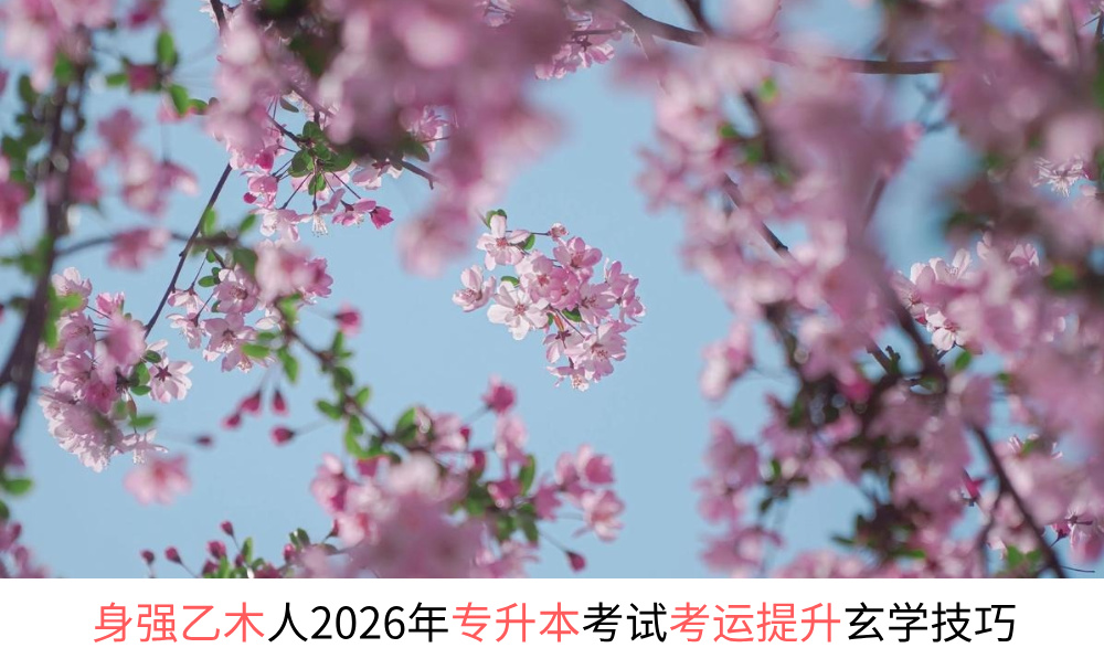身强乙木人2026年专升本考试考运提升玄学技巧