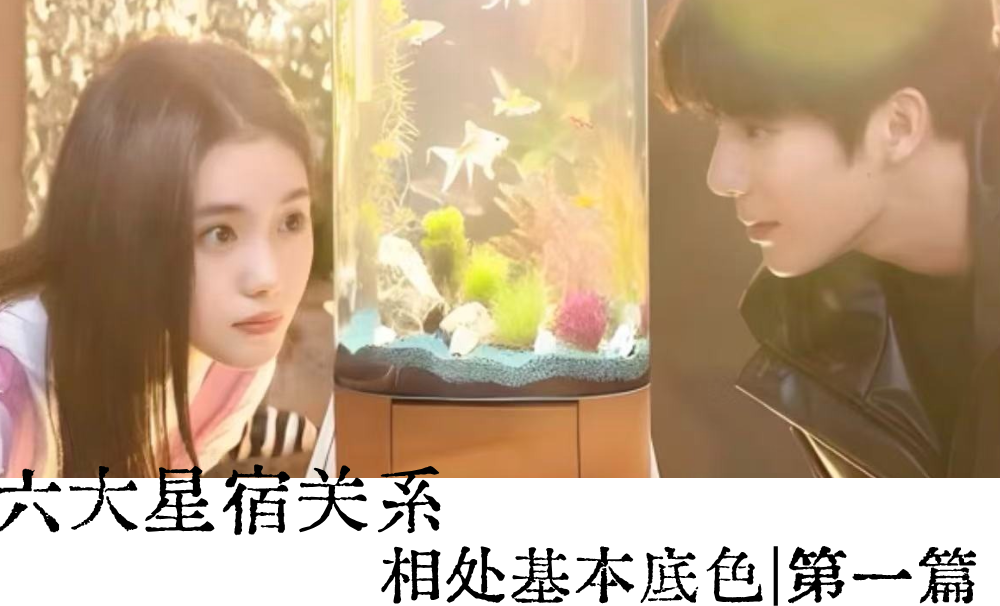 六大星宿关系相处基本底色|第一篇