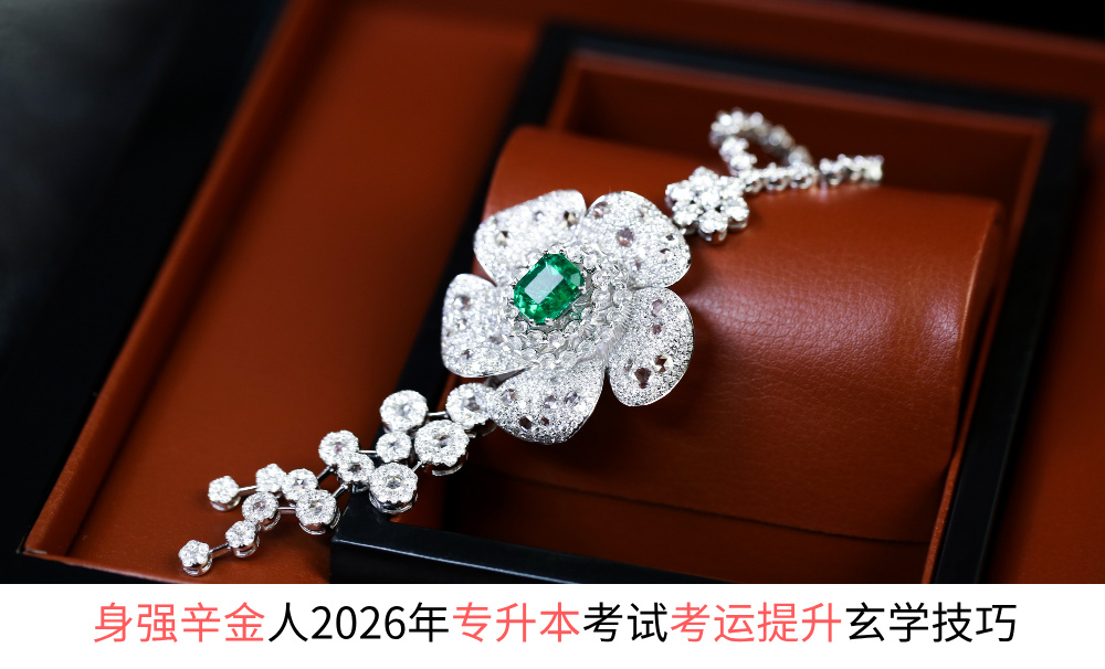 身强辛金人2026年专升本考试考运提升玄学技巧