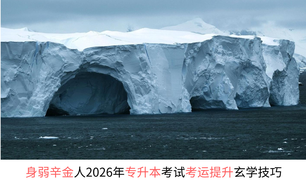 身弱辛金人2026年专升本考试考运提升玄学技巧