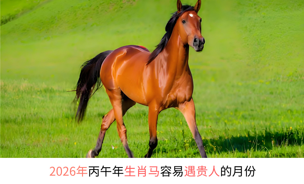 2026年丙午年生肖马容易遇贵人的月份