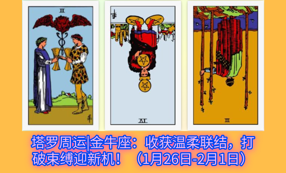 塔罗周运|金牛座：收获温柔联结，打破束缚迎新机！（1月26日-2月1日）
