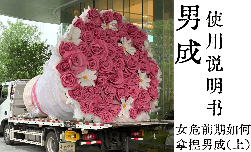 男成使用说明书|女危前期如何拿捏男成（上）