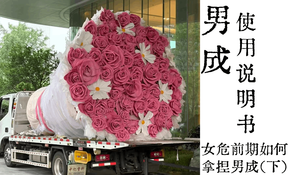 男成使用说明书|女危前期如何拿捏男成（下）