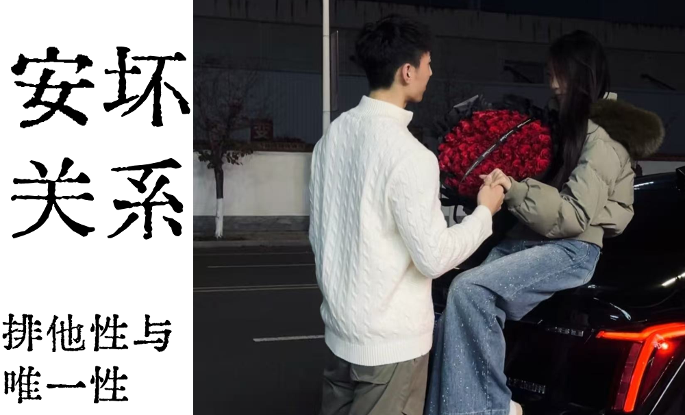 安环关系中的排他性与唯一性（无距离之分）