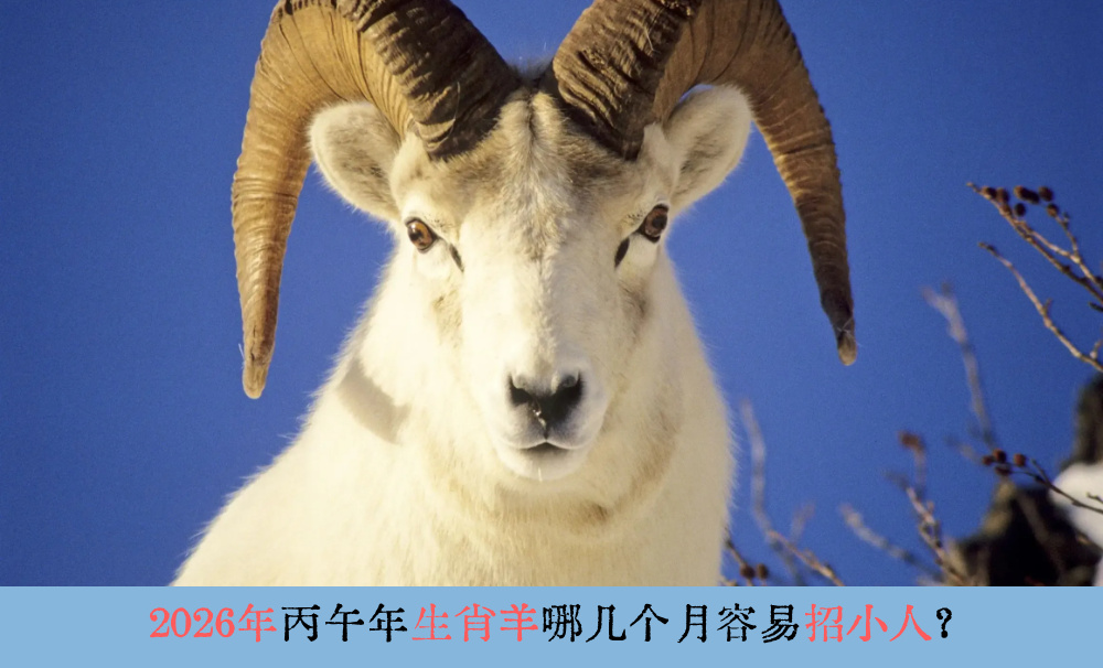 2026年丙午年生肖羊哪几个月容易招小人？